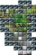 Minimap Limm.jpg