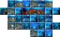 Datei:Minimap Korallenriff.jpg